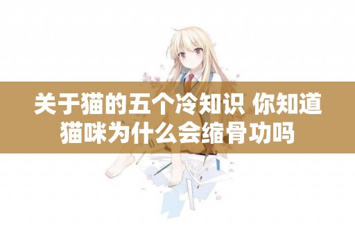 關于貓的五個冷知識 你知道貓咪為什么會縮骨功嗎 關于貓的五個冷知識 你知道貓咪為什么會縮骨功嗎