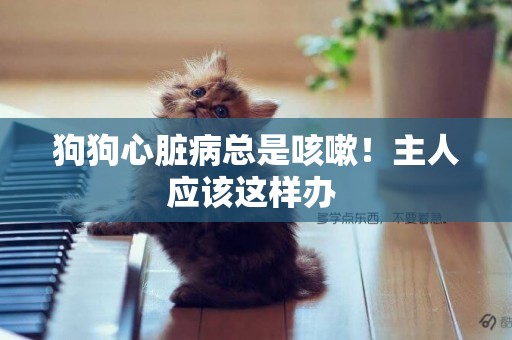 狗狗心臟病總是咳嗽！主人應該這樣辦 