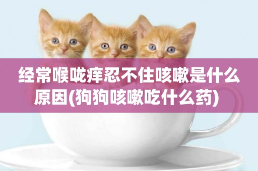 經常喉嚨癢忍不住咳嗽是什么原因(狗狗咳嗽吃什么藥) 