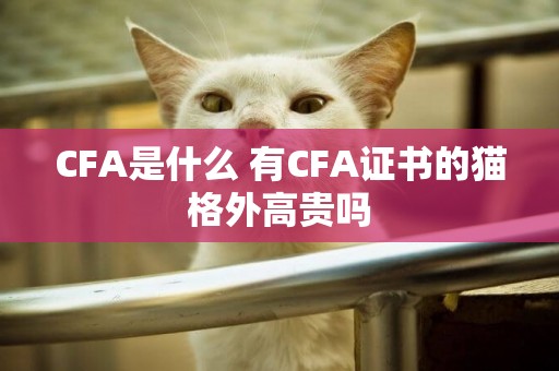 CFA是什么 有CFA證書的貓格外高貴嗎