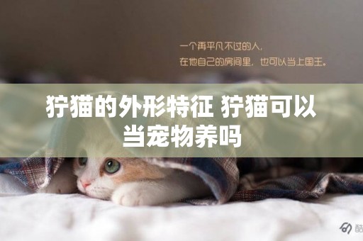 獰貓的外形特征 獰貓可以當寵物養嗎