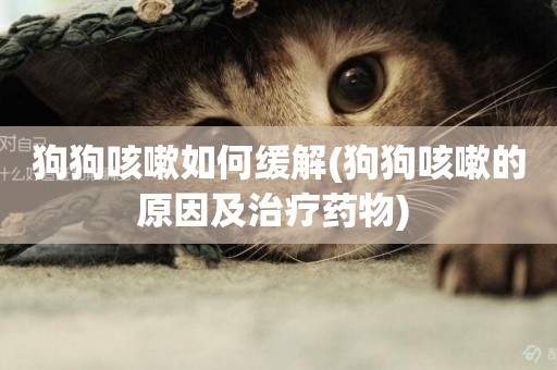 狗狗咳嗽如何緩解(狗狗咳嗽的原因及治療藥物) 