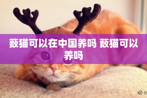 藪貓可以在中國養嗎 藪貓可以養嗎