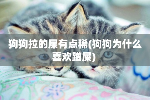 狗狗拉的屎有點稀(狗狗為什么喜歡蹭屎) 