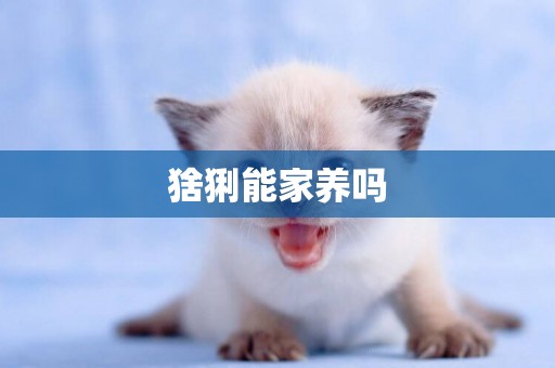 猞猁能家養嗎