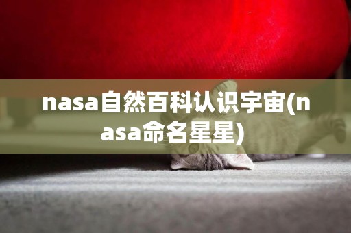 nasa自然百科認識宇宙(nasa命名星星) 