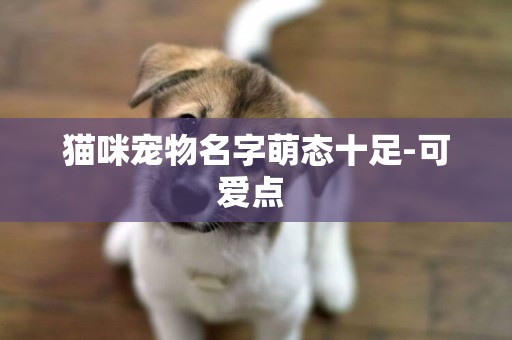 貓咪寵物名字萌態十足-可愛點 