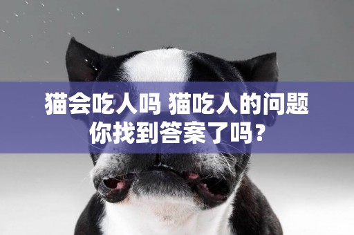 貓會吃人嗎 貓吃人的問題你找到答案了嗎？