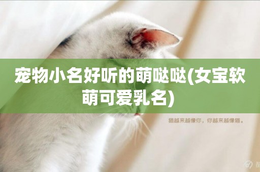 寵物小名好聽的萌噠噠(女寶軟萌可愛乳名) 