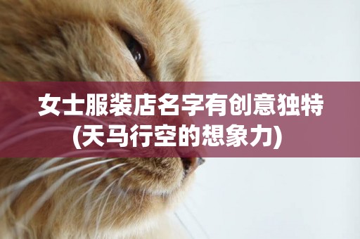 女士服裝店名字有創意獨特(天馬行空的想象力) 