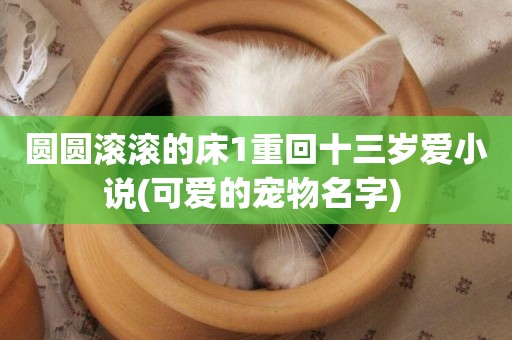圓圓滾滾的床1重回十三歲愛小說(可愛的寵物名字) 