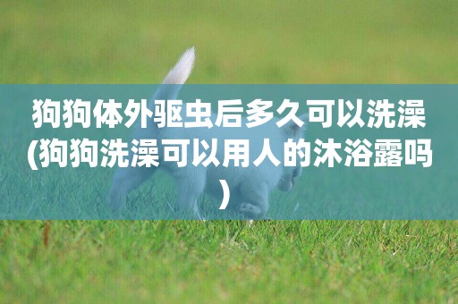 狗狗體外驅蟲后多久可以洗澡(狗狗洗澡可以用人的沐浴露嗎) 