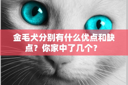金毛犬分別有什么優點和缺點？你家中了幾個？ 