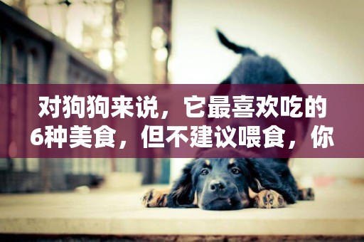 對狗狗來說，它最喜歡吃的6種美食，但不建議喂食，你有喂過嗎？ 