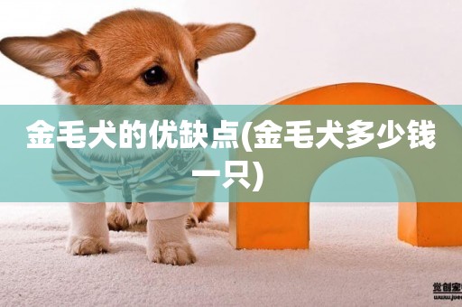 金毛犬的優缺點(金毛犬多少錢一只) 