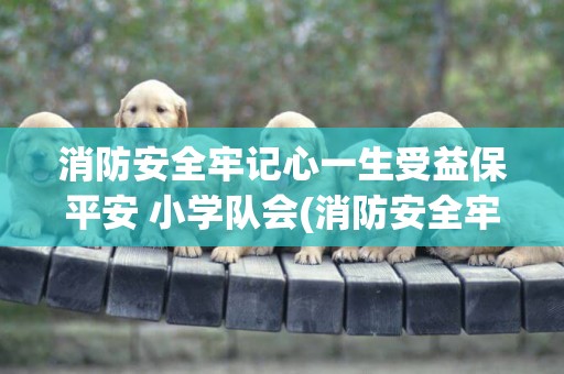 消防安全牢記心一生受益保平安 小學隊會(消防安全牢記心一生受益保平安) 