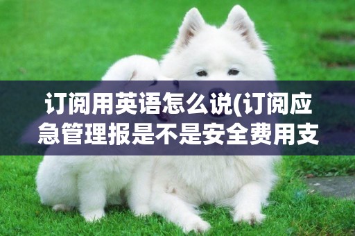 訂閱用英語怎么說(訂閱應急管理報是不是安全費用支出) 