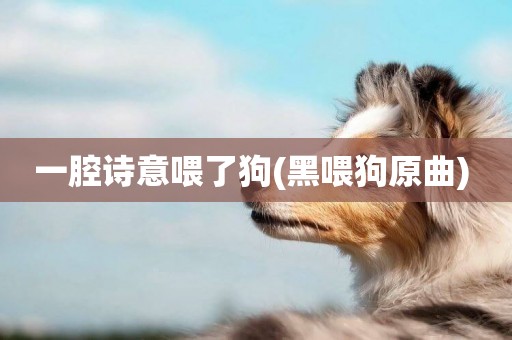 一腔詩意喂了狗(黑喂狗原曲) 