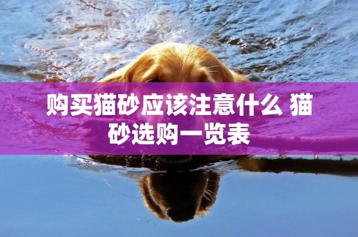 購買貓砂應該注意什么 貓砂選購一覽表