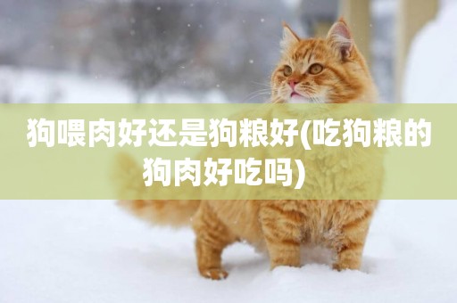狗喂肉好還是狗糧好(吃狗糧的狗肉好吃嗎) 