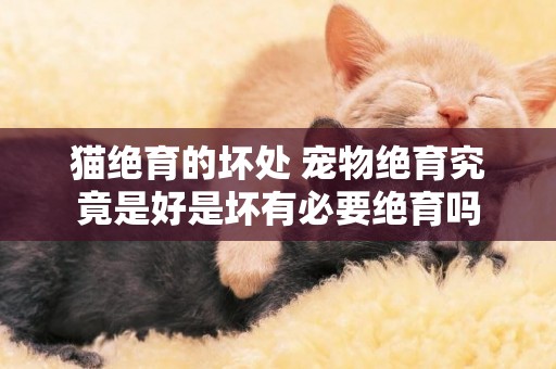 貓絕育的壞處 寵物絕育究竟是好是壞有必要絕育嗎