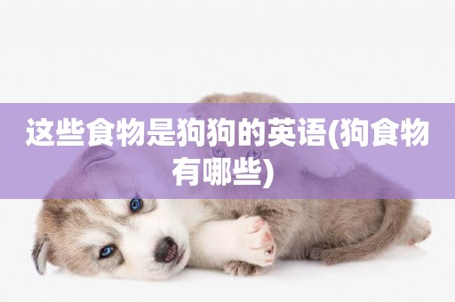 這些食物是狗狗的英語(狗食物有哪些) 