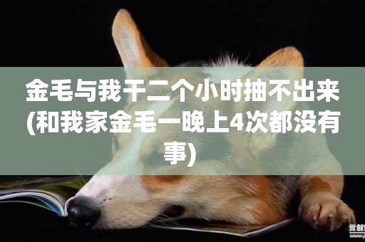 金毛與我干二個小時抽不出來(和我家金毛一晚上4次都沒有事) 