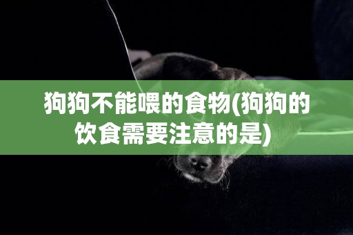 狗狗不能喂的食物(狗狗的飲食需要注意的是) 