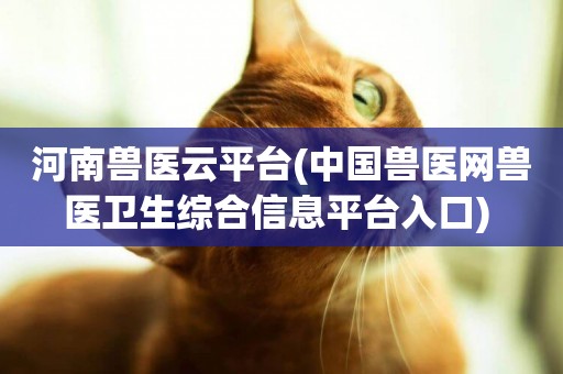 河南獸醫云平臺(中國獸醫網獸醫衛生綜合信息平臺入口) 