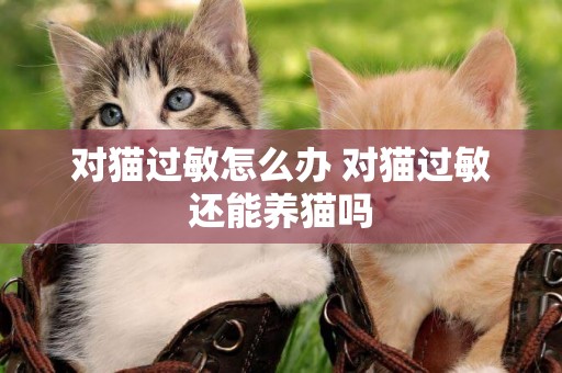 對貓過敏怎么辦 對貓過敏還能養貓嗎