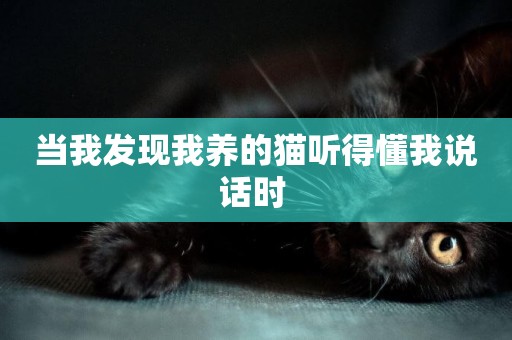 當我發現我養的貓聽得懂我說話時 