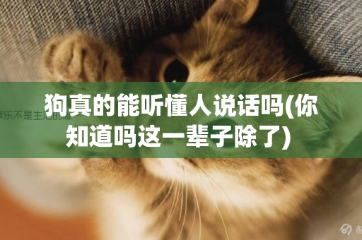 狗真的能聽懂人說話嗎(你知道嗎這一輩子除了) 