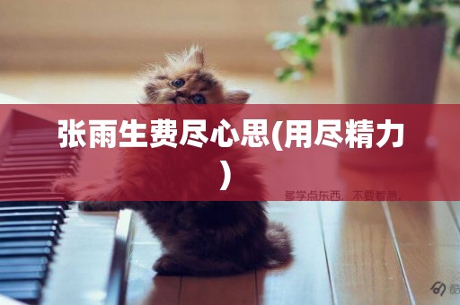 張雨生費盡心思(用盡精力) 