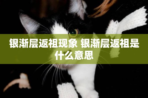 銀漸層返祖現象 銀漸層返祖是什么意思