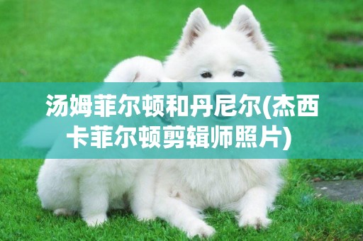 湯姆菲爾頓和丹尼爾(杰西卡菲爾頓剪輯師照片) 
