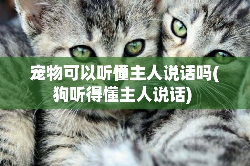 寵物可以聽懂主人說話嗎(狗聽得懂主人說話) 