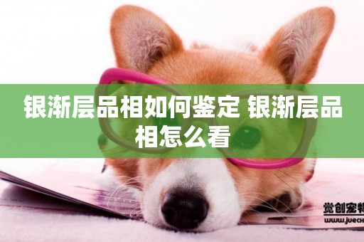 銀漸層品相如何鑒定 銀漸層品相怎么看