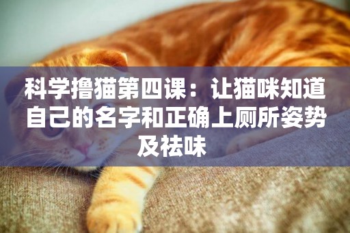科學擼貓第四課：讓貓咪知道自己的名字和正確上廁所姿勢及祛味 