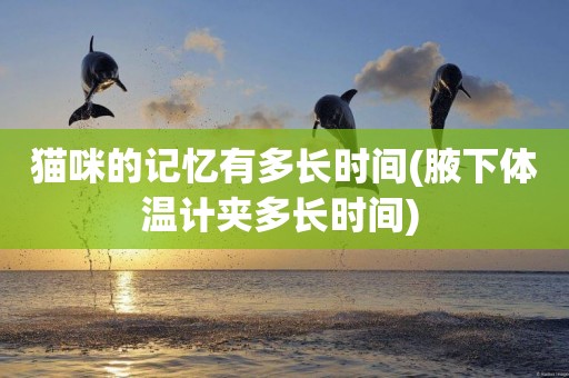 貓咪的記憶有多長時間(腋下體溫計夾多長時間) 