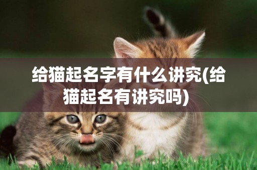 給貓起名字有什么講究(給貓起名有講究嗎) 
