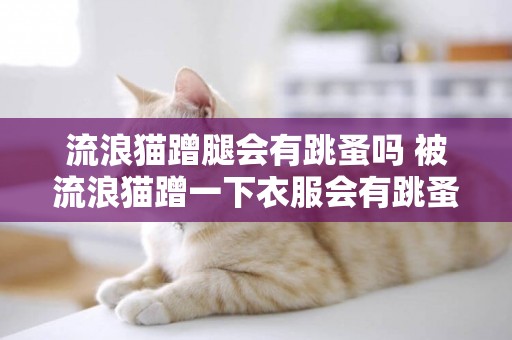 流浪貓蹭腿會有跳蚤嗎 被流浪貓蹭一下衣服會有跳蚤嗎