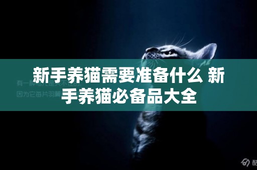 新手養貓需要準備什么 新手養貓必備品大全