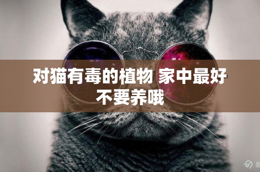對貓有毒的植物 家中最好不要養哦