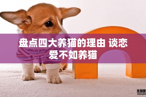 盤點四大養貓的理由 談戀愛不如養貓 盤點四大養貓的理由 談戀愛不如養貓
