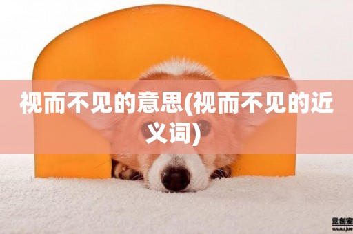 視而不見的意思(視而不見的近義詞) 