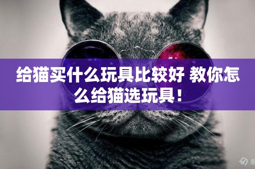 給貓買什么玩具比較好 教你怎么給貓選玩具！