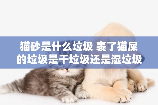 貓砂是什么垃圾 裹了貓屎的垃圾是干垃圾還是濕垃圾