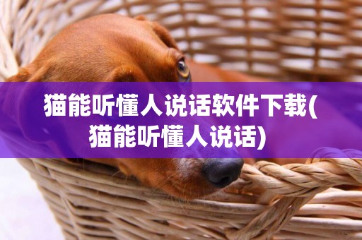 貓能聽懂人說話軟件下載(貓能聽懂人說話) 