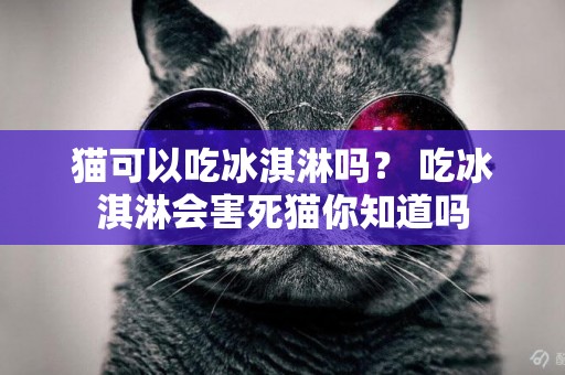 貓可以吃冰淇淋嗎？ 吃冰淇淋會害死貓你知道嗎