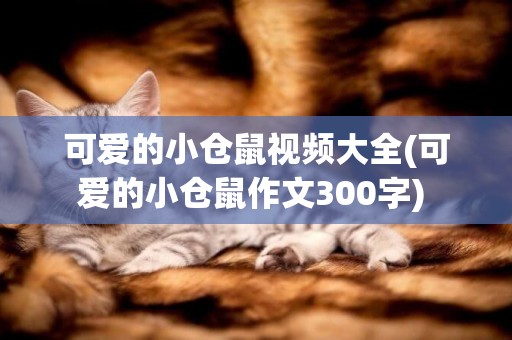 可愛的小倉鼠視頻大全(可愛的小倉鼠作文300字) 